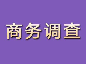 怒江商务调查